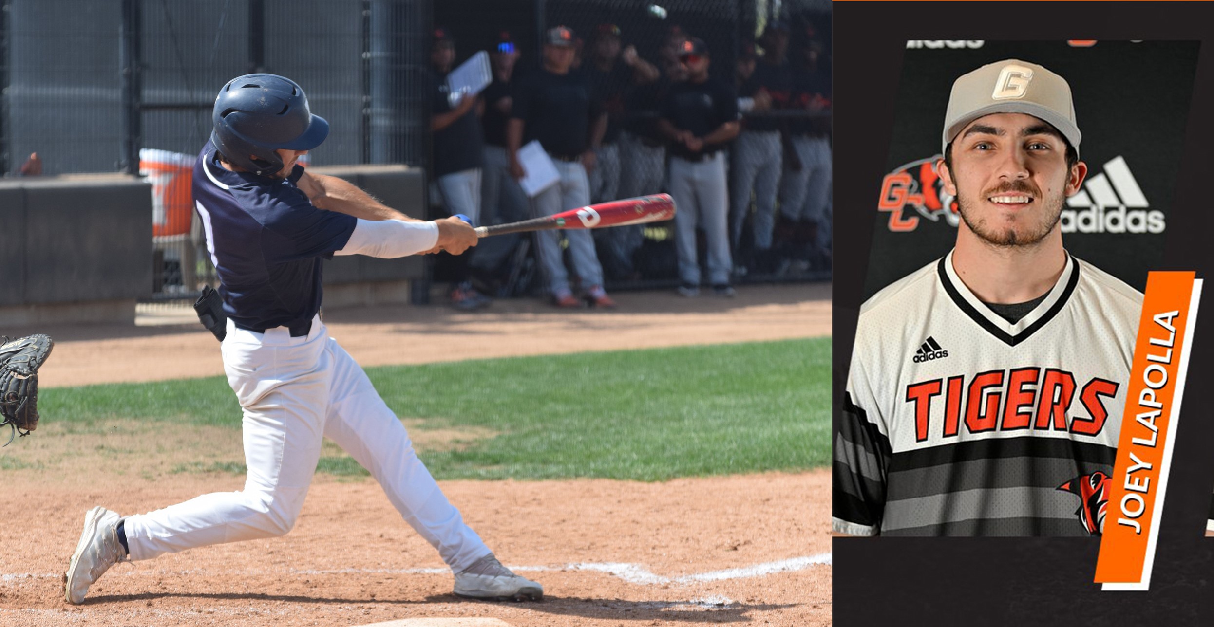 Alumni Report: Lapolla earns Mid-South all-academic honors