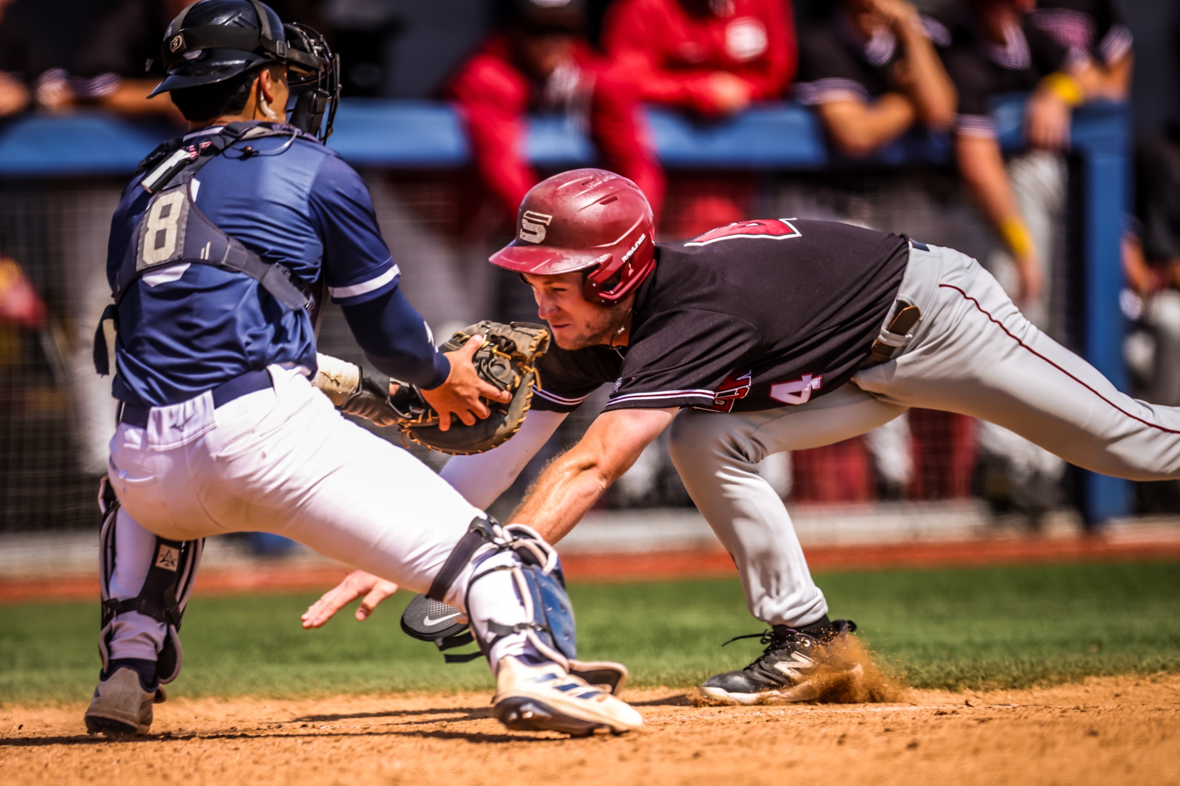 Photo by Joey Gray / JPWest Media