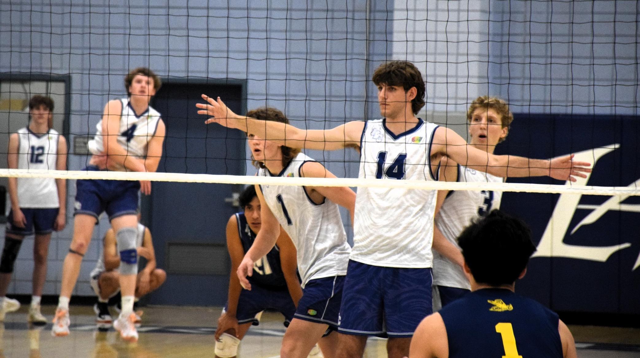 Men's volleyball team shines and sweeps Fullerton at home