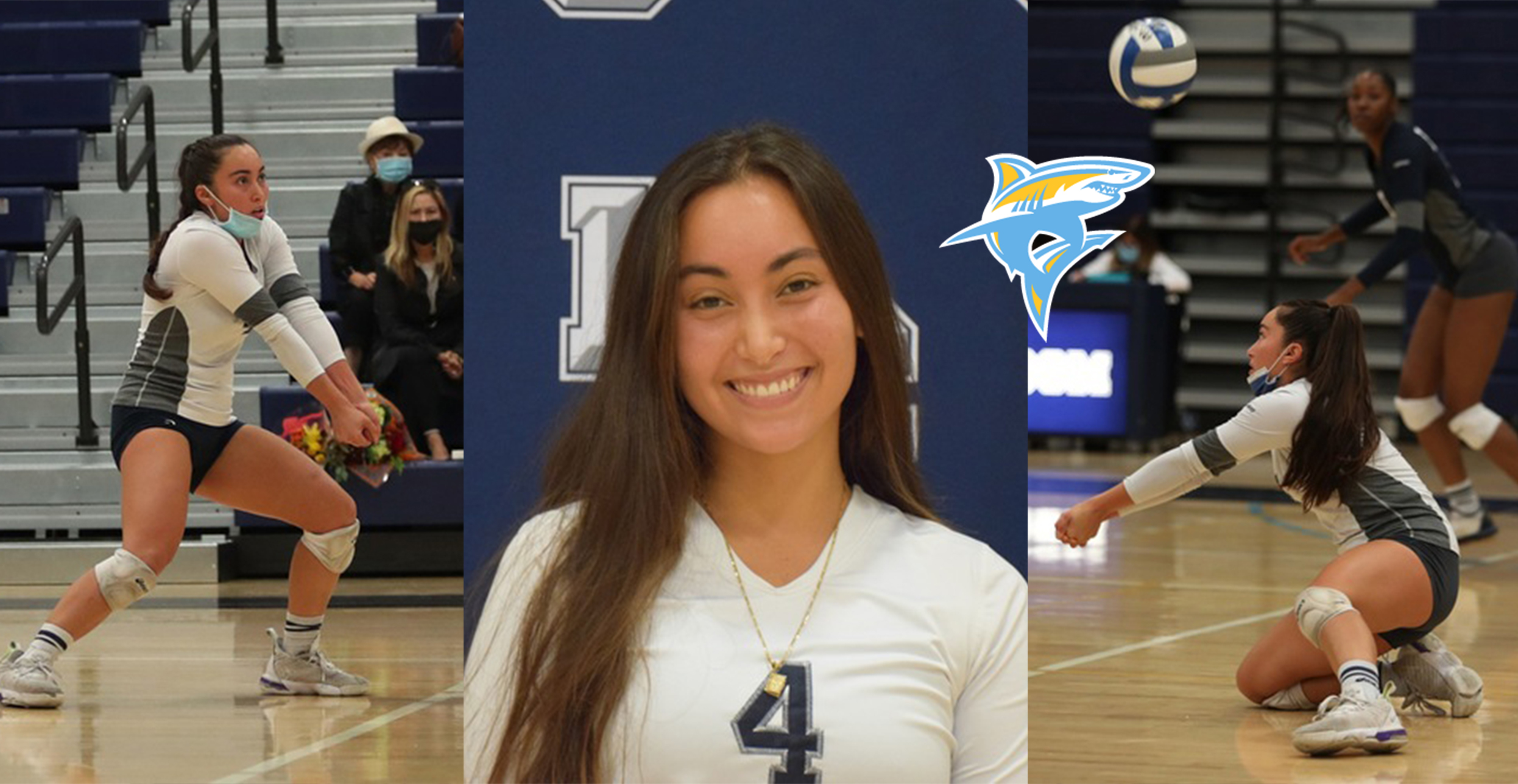 Women's volleyball libero Alex Pestolis headed to LIU Brooklyn